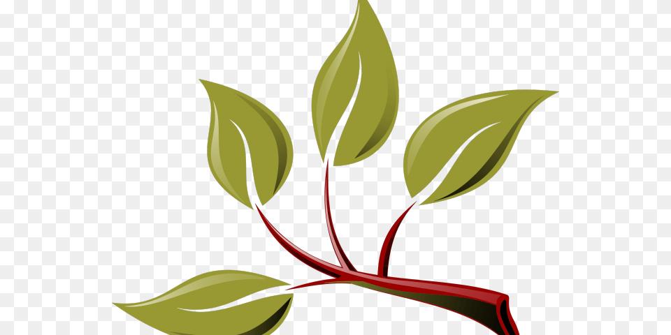 Branch With Leaves Clipart, Herbal, Herbs, Leaf, Plant Free Transparent Png