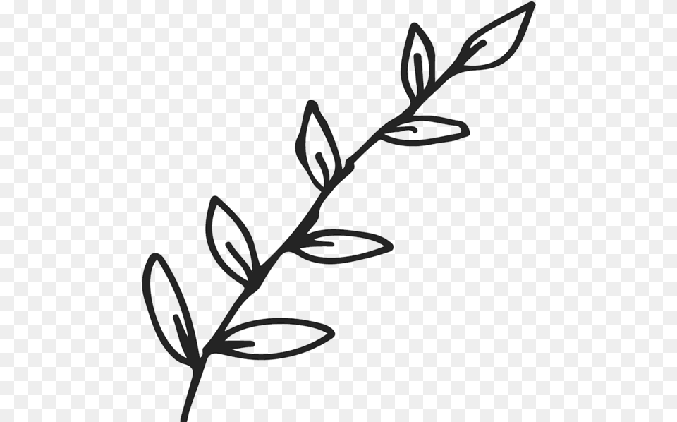 Branch With Leaves Outline Rubber Stamp Leaf Clipart Black And White Outline, Grass, Plant, Flower, Smoke Pipe Free Transparent Png