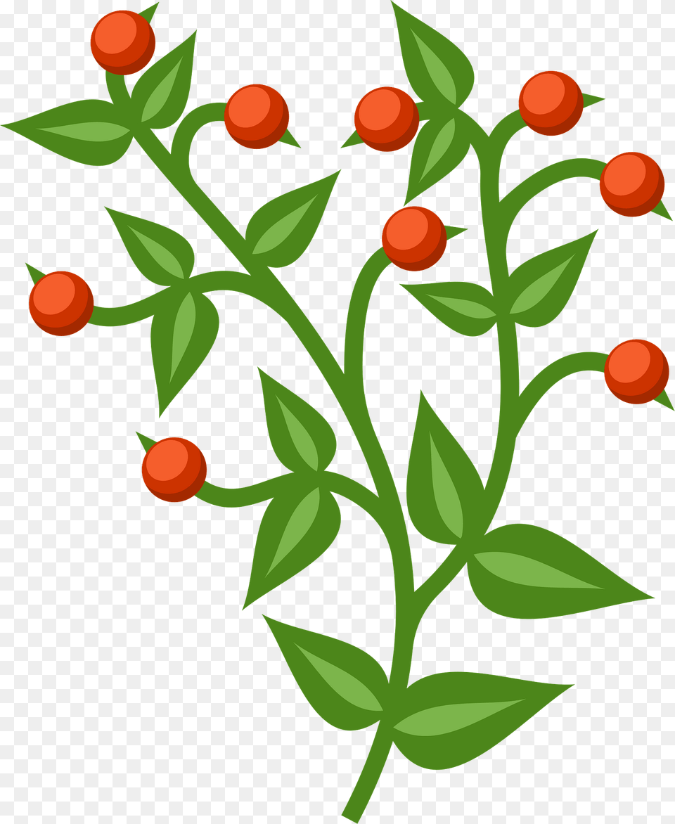 Branch With Red Berries Clipart, Art, Floral Design, Graphics, Pattern Free Transparent Png