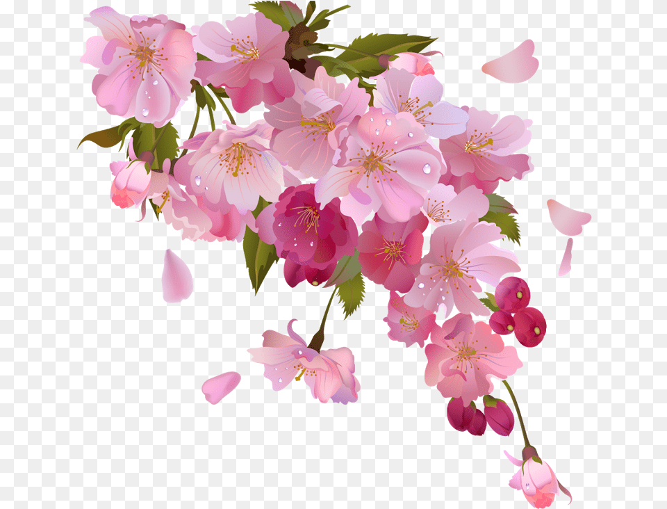 Branch Wreath Clipart Song Of The Time Lyrics Harry Styles, Flower, Petal, Plant, Cherry Blossom Png Image