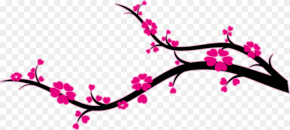 Branche Cerisier Du Japon Download Branche Cerisier, Flower, Plant, Cherry Blossom Free Transparent Png