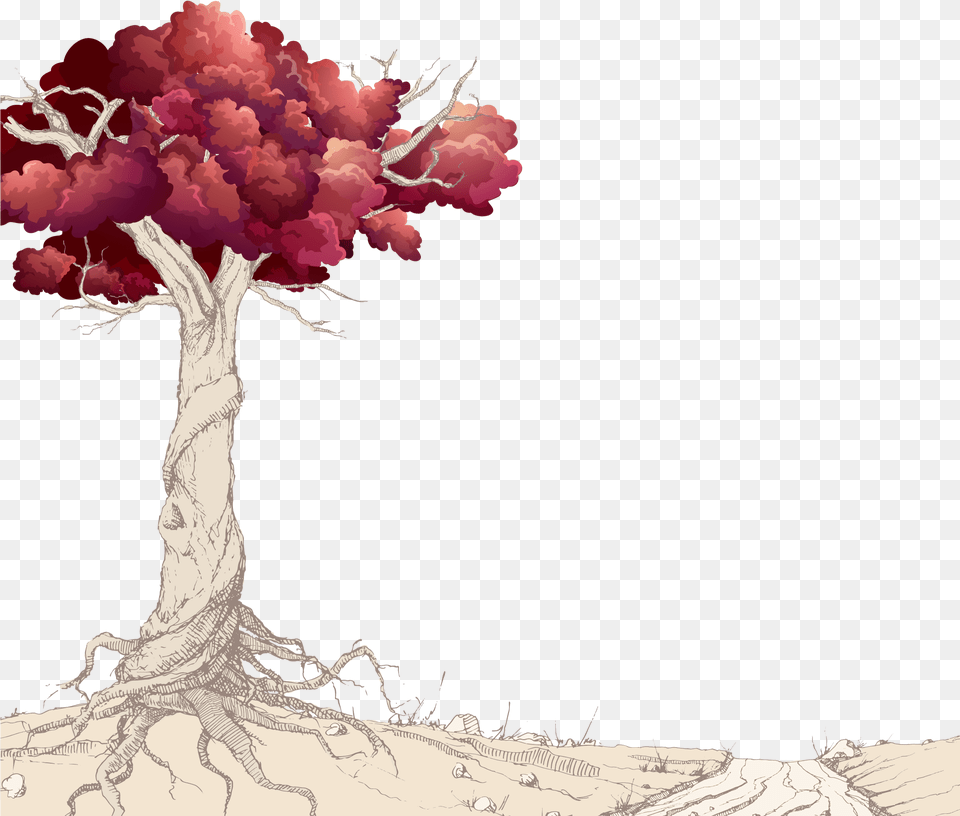 Branched Roots, Plant, Tree, Flower, Root Free Png