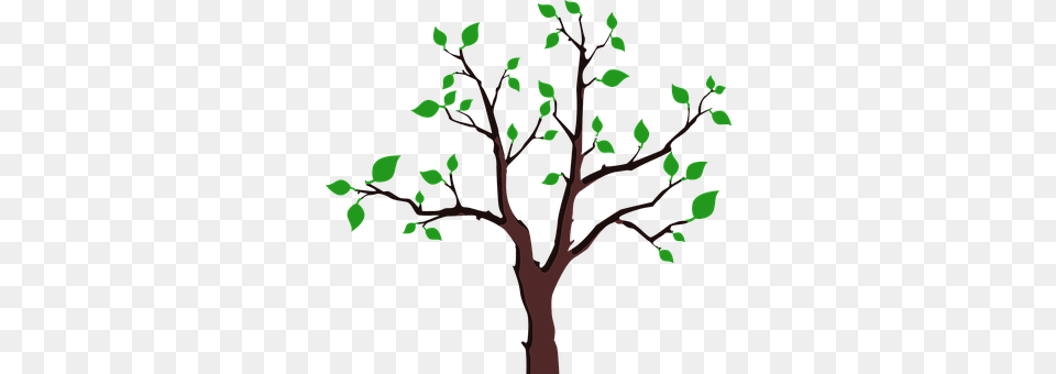 Branches Green, Leaf, Plant, Tree Png