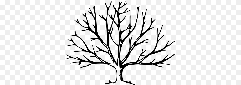 Branches Gray Png Image