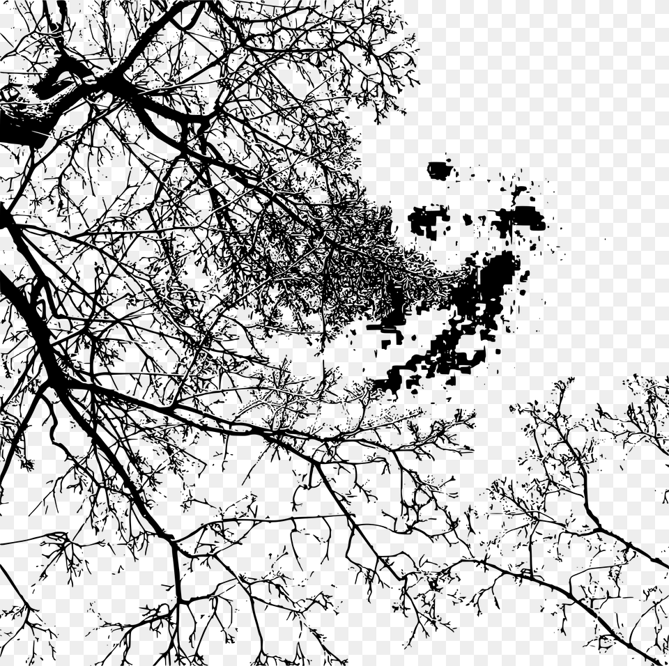 Branches By Stylistica Clip Arts Monochrome, Gray Free Png