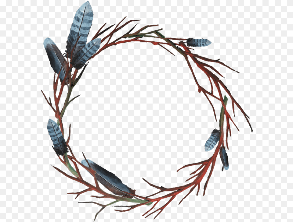 Branches Feather Circle, Plant, Accessories Png