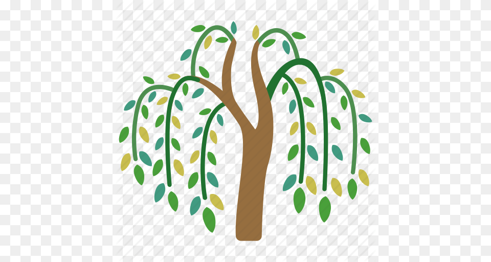 Branches Fronds River Tree Vegetation Weeping Willow Icon, Plant, Tree Trunk, Herbal, Herbs Free Transparent Png