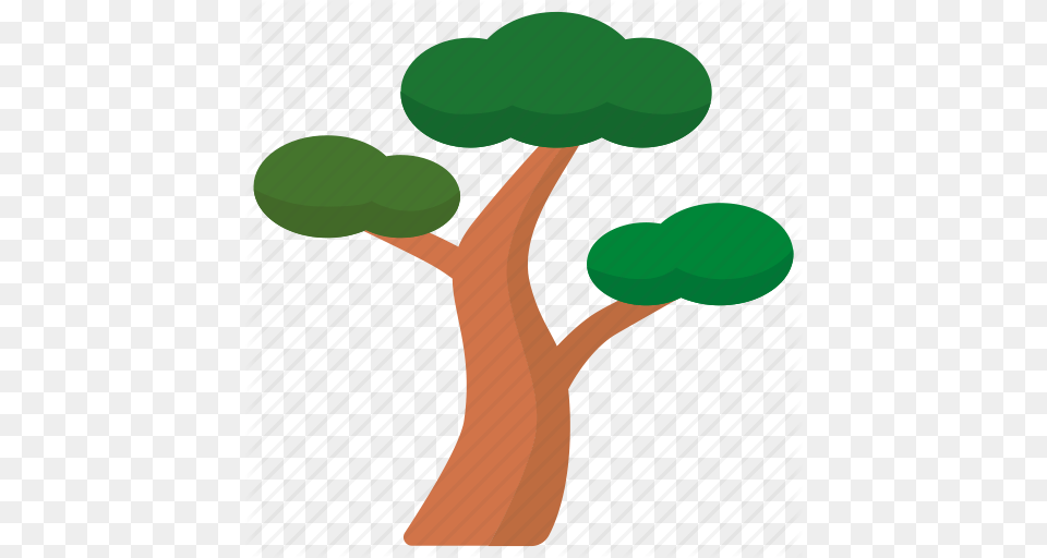 Branches Japanese Korean Korean Red Tree Pine Red Tree Icon, Plant, Potted Plant, Tree Trunk, Ping Pong Png Image