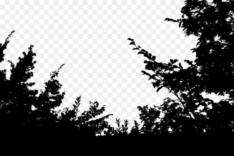 Branches Leaf Leaves Silhouette Trees Vegetation Vegetation Silhouette, Gray Png