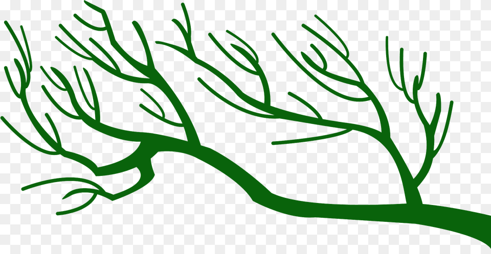 Branches Silhouette, Plant, Tree, Art, Herbal Free Png