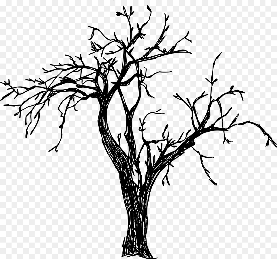 Branches Tree Tree Drawing, Gray Free Png Download