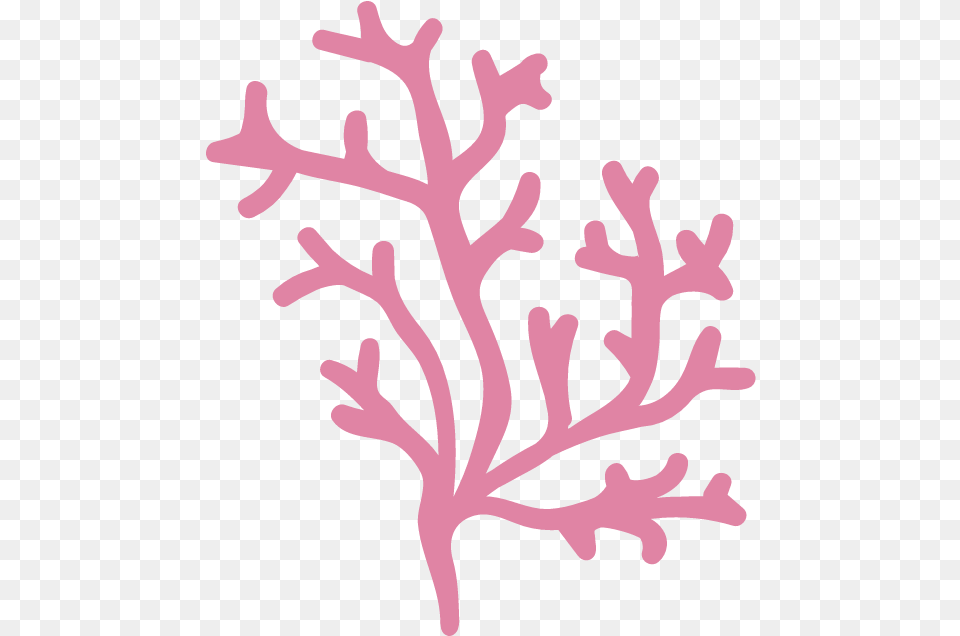 Branching Coral Graphic Illustrations Free Graphics Stencil, Leaf, Plant, Nature, Outdoors Png Image