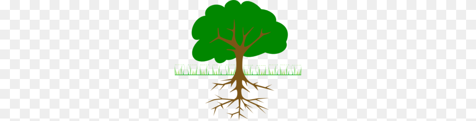 Branching Tree Clipart Clip Art Images, Plant, Root, Person, Vegetation Free Transparent Png