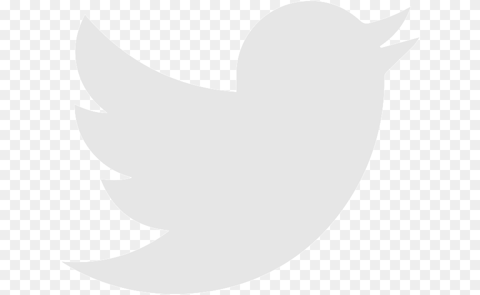 Brand Logo Network Social Twiter Icon Twitter Logo White, Animal, Fish, Sea Life, Shark Png