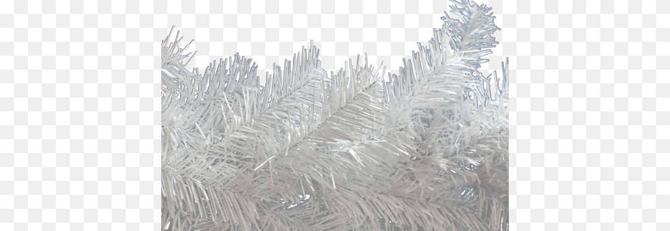 Brand New Shiny White Colored Tinsel Garland For Your Pond Pine, Frost, Ice, Nature, Outdoors Png Image