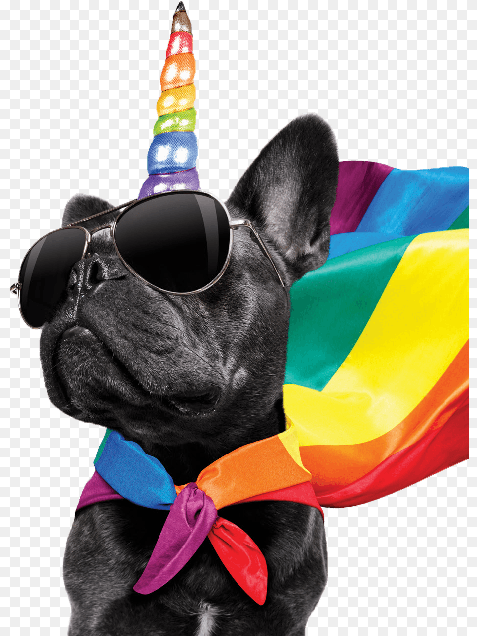 Brand Pride Mascot, Hat, Clothing, Pet, Mammal Free Png Download