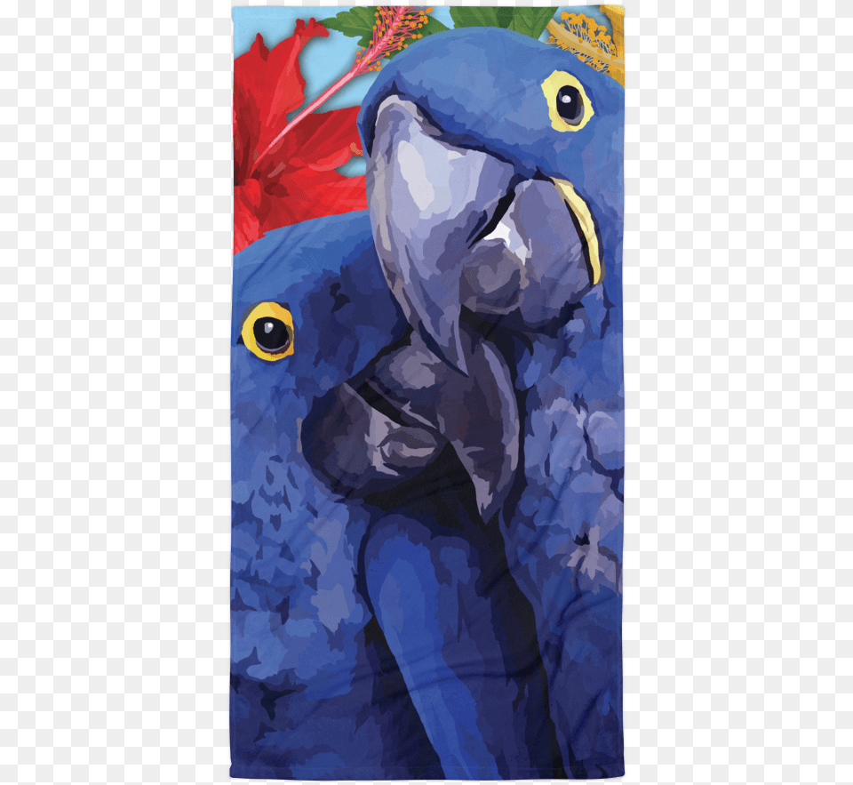 Brandi And Zelda The Parrots Hyacinth Macaw Cute, Animal, Bird, Parrot, Person Free Png