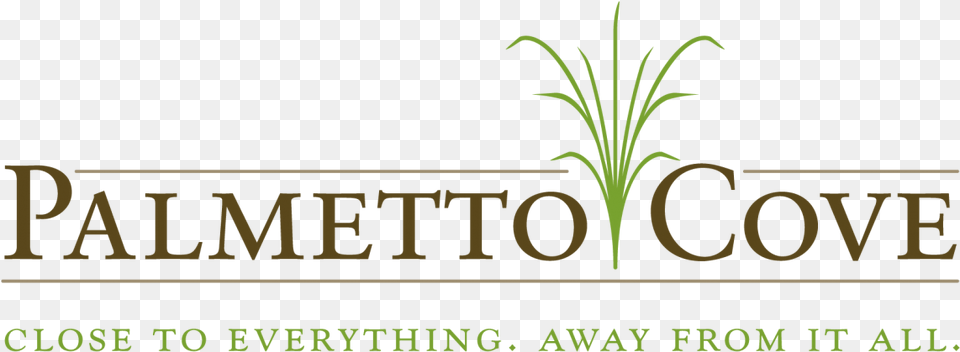 Branding And Logos Palmetto Surety Logo, Plant, Green, Grass, Vegetation Free Transparent Png