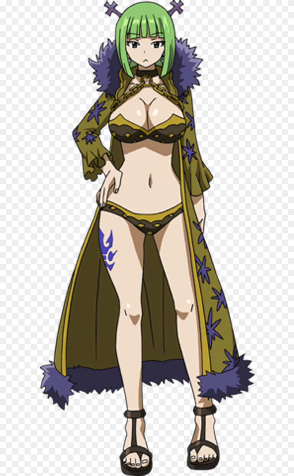 Brandish Fairy Tail, Publication, Book, Comics, Adult Free Png
