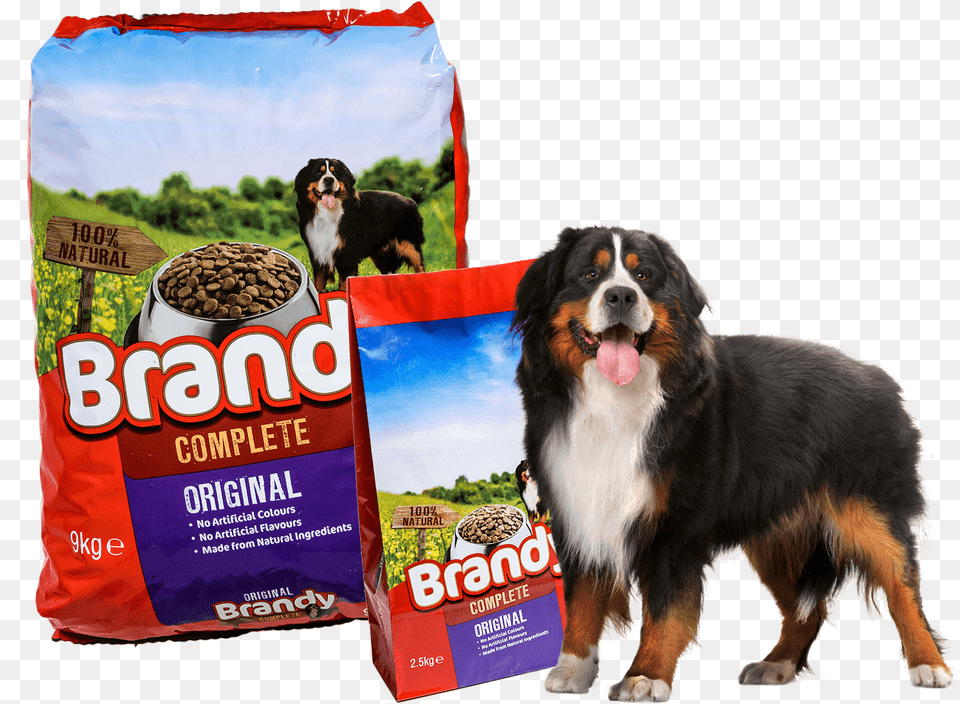 Brandy Dog Food, Animal, Canine, Mammal, Pet Free Png