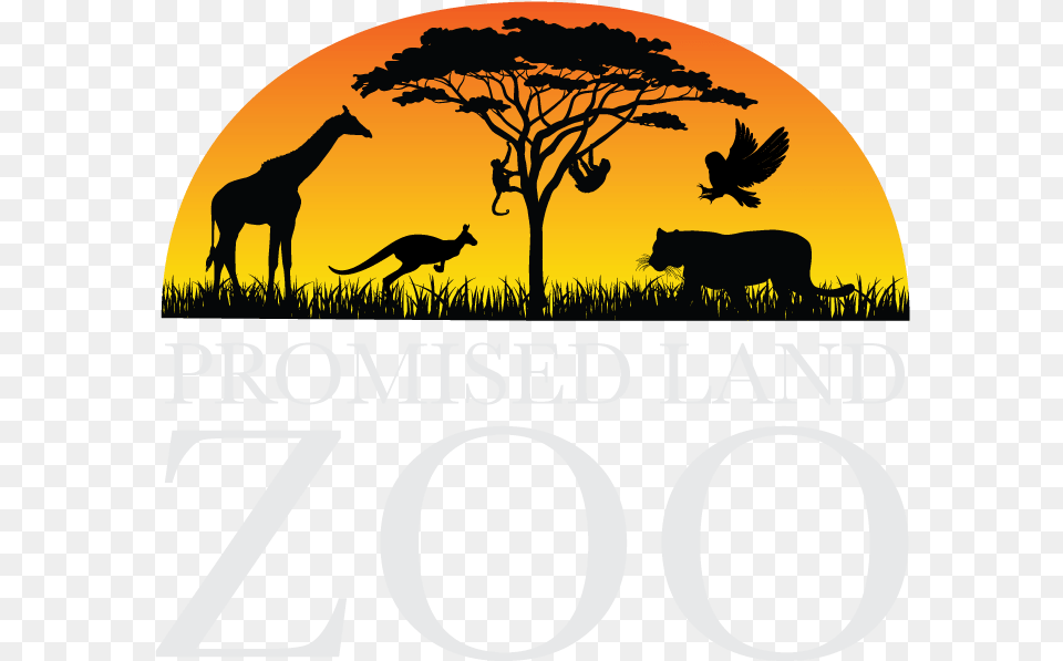 Branson Location Silhouette, Animal, Kangaroo, Mammal, Antelope Free Transparent Png