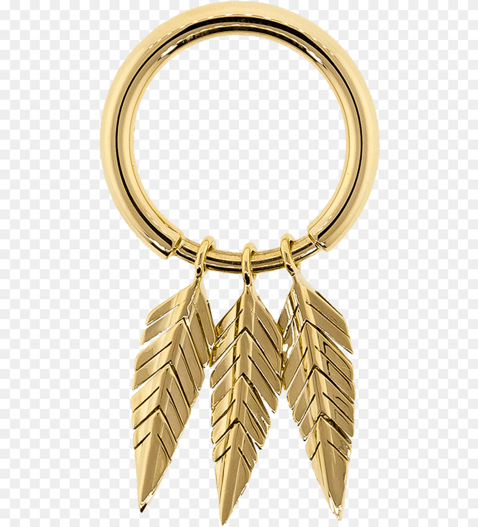 Brass, Accessories, Earring, Gold, Jewelry Png