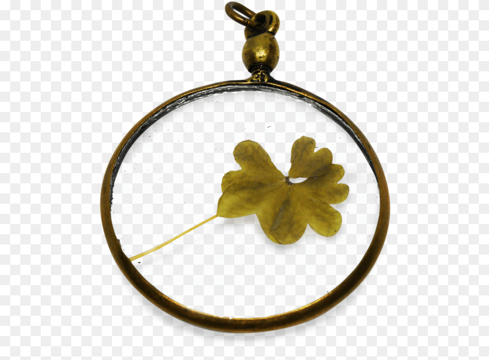 Brass, Accessories, Leaf, Plant, Pendant Free Png