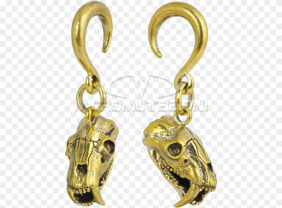 Brass Ear Weight Skull Pendant Ear Earrings, Accessories, Earring, Jewelry, Electronics Png