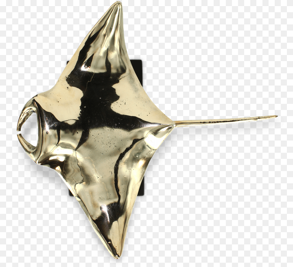 Brass Manta Ray, Animal, Fish, Sea Life, Manta Ray Free Png