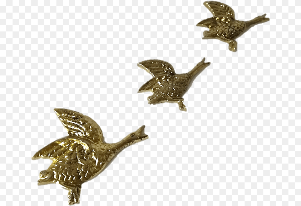 Brassducksed Eagle, Bronze, Animal, Bird, Accessories Png