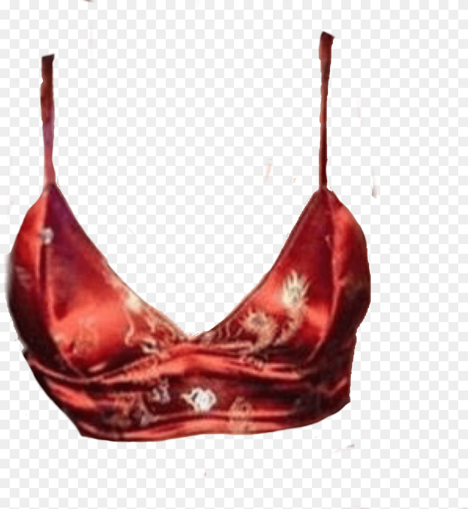 Brassiere, Bra, Clothing, Lingerie, Underwear Png