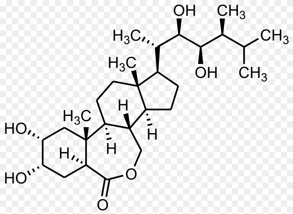 Brassinolide Structure Clipart Png Image