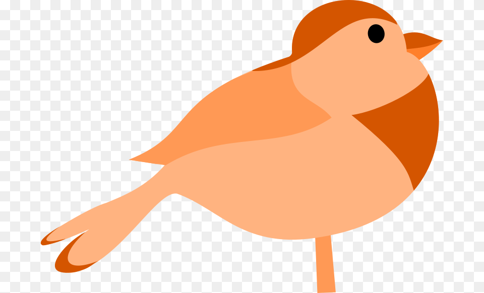 Bratac Bird, Animal, Finch, Canary Free Png Download