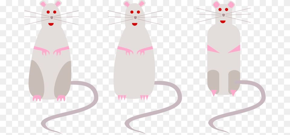 Bratac Rat, Animal, Mammal, Rodent, Fish Free Png Download