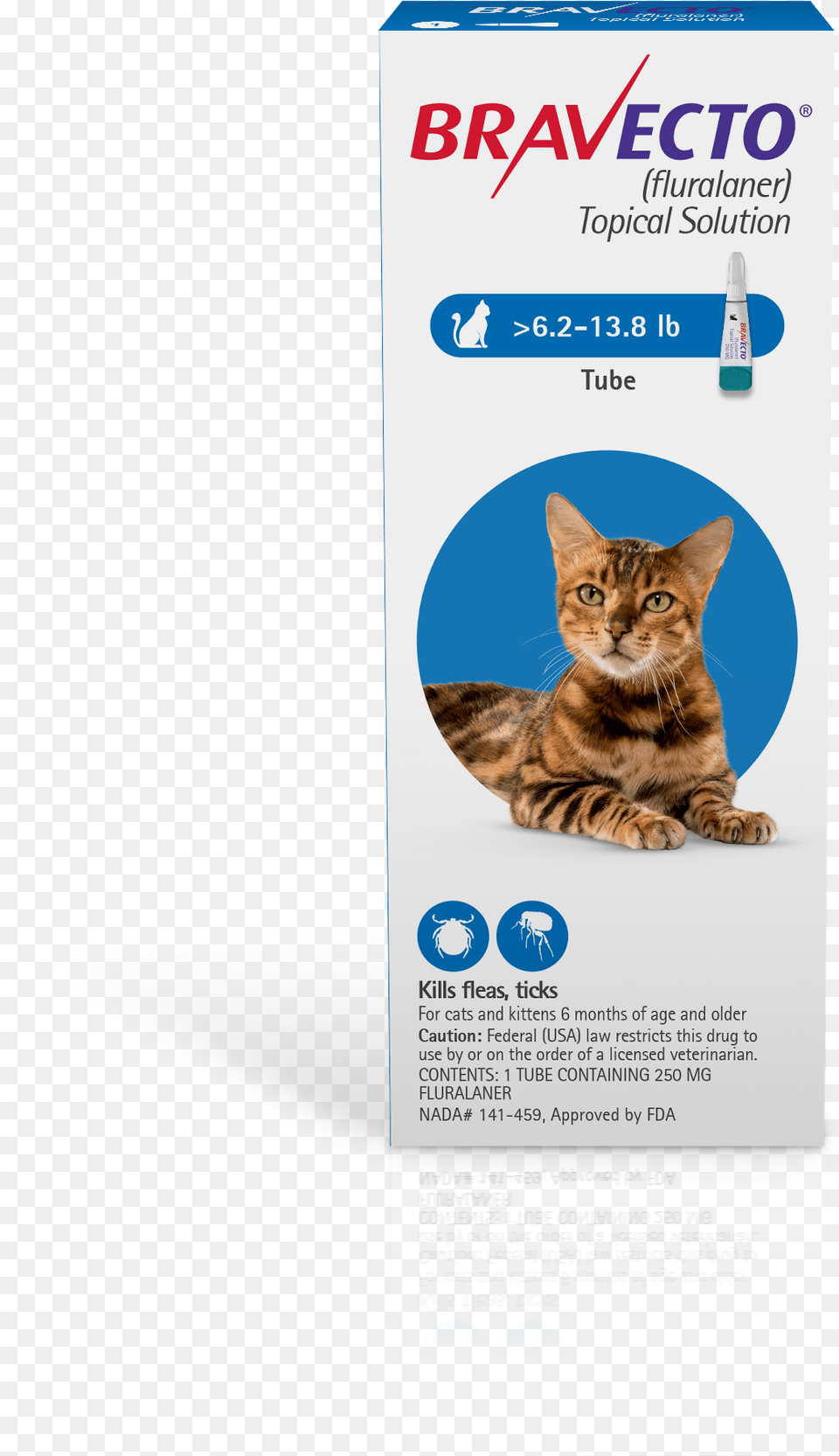 Bravecto Topical Solution For Cats Bravecto For Cats, Advertisement, Poster, Animal, Cat Free Transparent Png