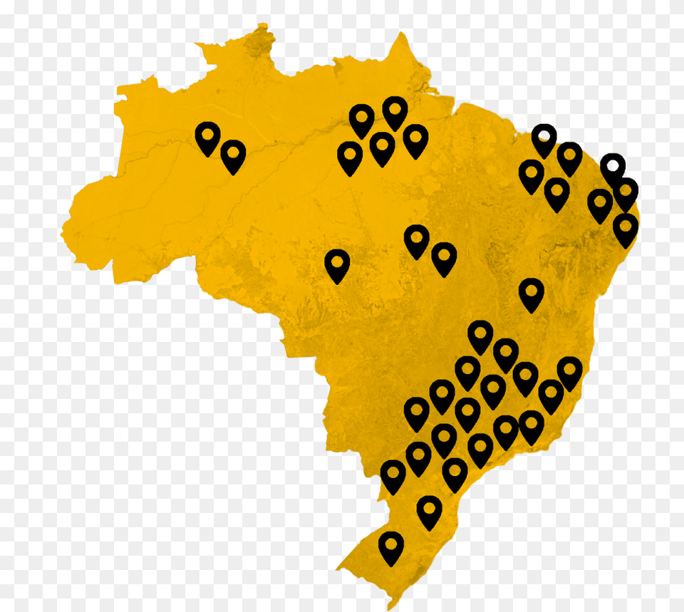 Brazil 1024x927 Map, Chart, Plot, Animal, Lion Png