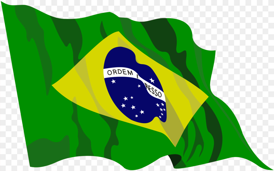 Brazil Flag Gif, Brazil Flag, Person Png Image