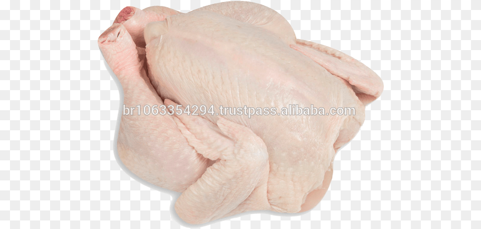 Brazil Halal Frozen Whole Chicken Frozen Chicken Paws Whole Chicken Frozen, Baby, Person, Animal, Bird Png