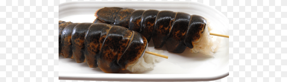 Brazil Lobster Tail Boiled Lobster Recipes, Animal, Food, Invertebrate, Sea Life Png Image