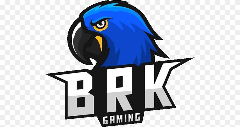 Brazillian Killers Gaming Mobile Liquipedia Logo Brk Pubg, Animal, Bird, Parrot Png