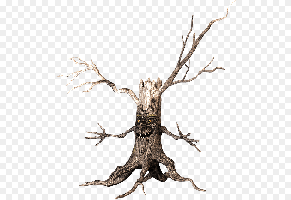 Brazos De Un Arbol, Plant, Tree, Wood Png Image