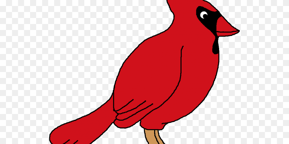 Brds Clipart Red Robin Cedar Waxwing, Animal, Bird, Person, Cardinal Png