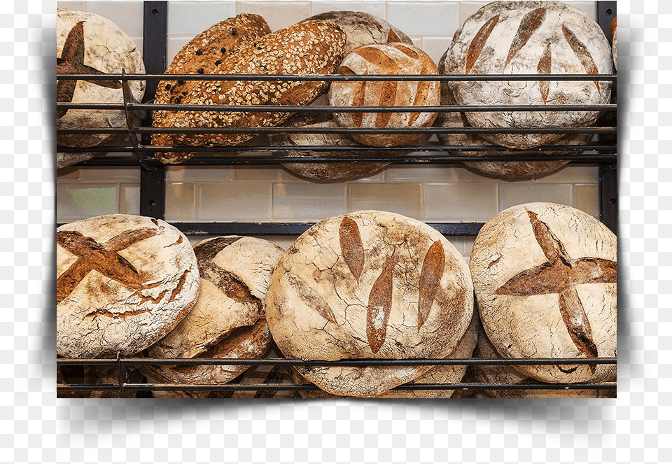 Bread, Food, Appliance, Baking, Cooking Free Transparent Png