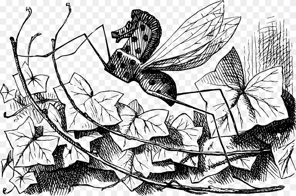 Bread And Butter Fly Through The Looking Glass Insects, Art, Drawing Png