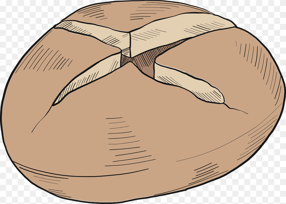 Bread Clipart, Animal, Clam, Food, Seashell Free Png