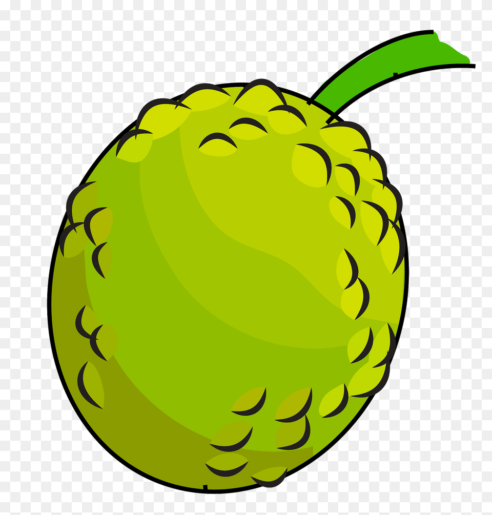 Breadfruit Clipart, Food, Produce, Fruit, Plant Free Png Download