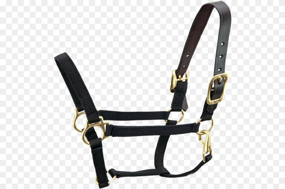 Breakaway 34 Horse Halter No Background, Harness, Accessories, Bow, Weapon Png Image