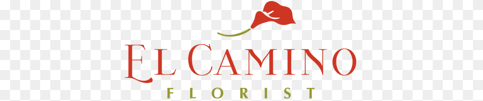 Breast Cancer Ribbon El Camino Florist, Logo, Text Free Png