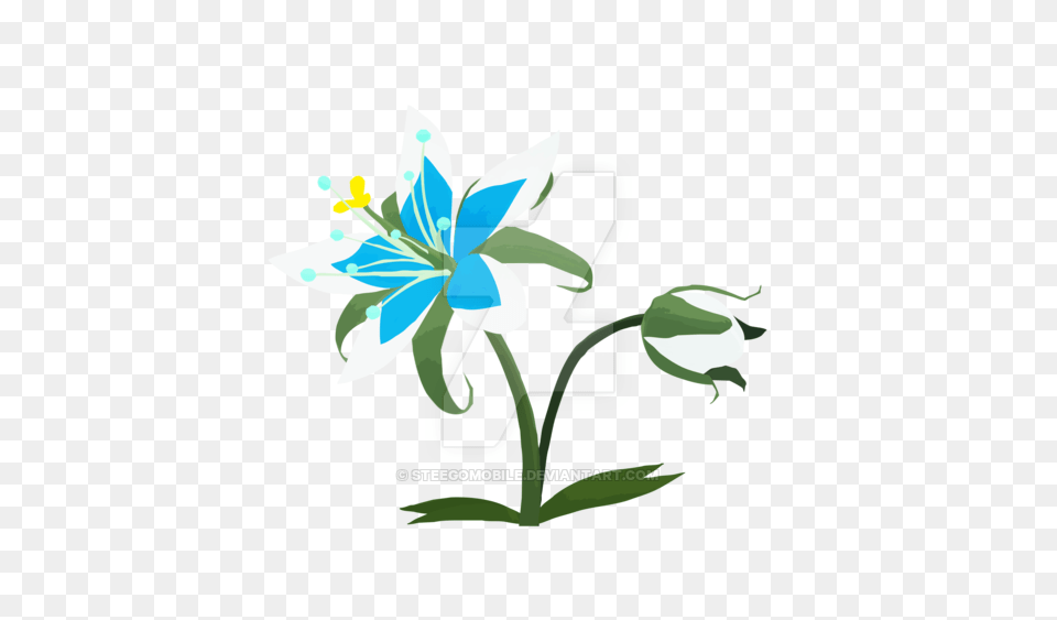 Breath Of The Wild, Flower, Plant, Art, Graphics Png Image