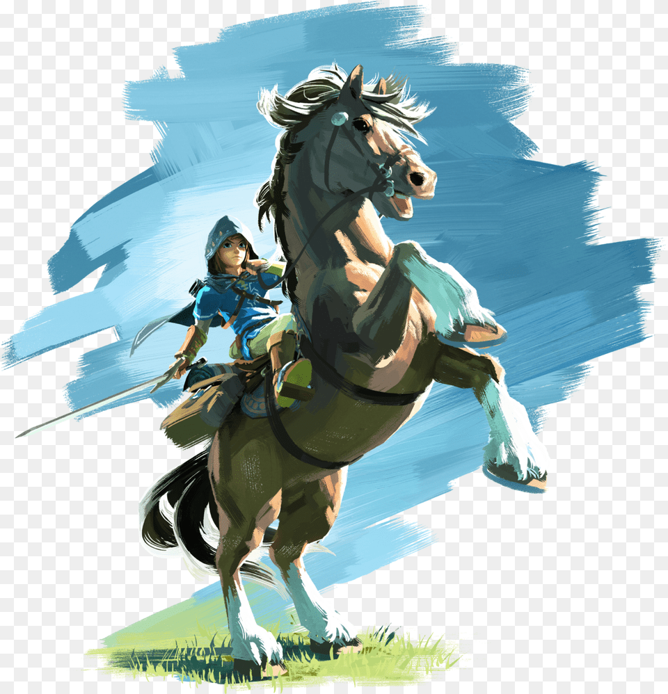 Breath Of The Wild Link On Horse, Baby, Person, Animal, Equestrian Free Png Download